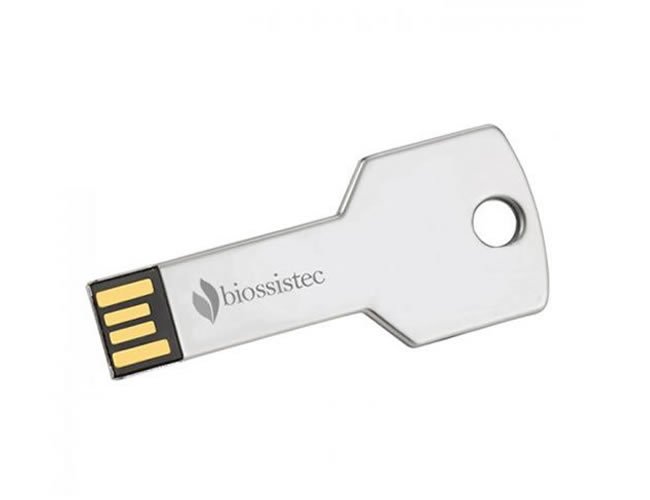 Pen Drive Chave 4GB Personalizado 024